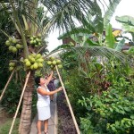 bali ubud