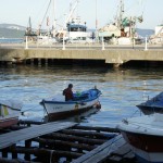 DSC00360