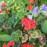 DSC01160