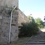 IMG_0007