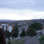 DSC07011