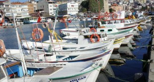 Limanda bağlı balıkçı tekneleri ve arkada şehir manzarası
