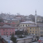 IMG_0009