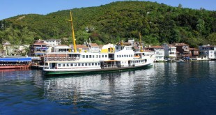Boğaz'da yeşil tepenin önünde yolcu vapuru ve köy evleri