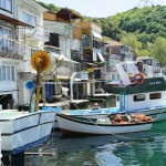 anadolu kavağı