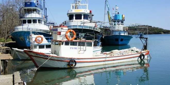 Limanda yan yana demirlemiş balıkçı tekneleri ve sudaki yansımaları
