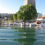 IMG_0047 sinop dalgakıran içi