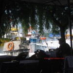 j sinopta yalı kahvesi