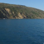 paronomik sinop