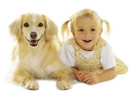 Beyaz fonda sarı tüylü köpek ve yanında gülümseyen küçük kız
