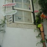 DSC03226