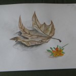 DSC05195