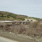 DSC05774
