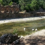 olympos