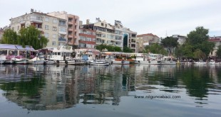 Sinop limanında sakin suya yansıyan sahil evleri ve tekneler