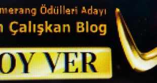 Bumerang Ödülleri en çalışkan blog adayı yazılı oy ver afişi