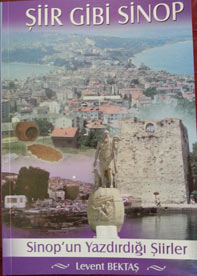 Şiir Gibi Sinop adlı kitabın kapak görseli