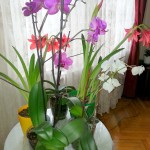 2015-03-28 08.19.56