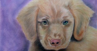 Mavi gözlü bir köpek yavrusunu gösteren tablo
