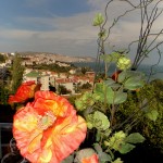 sinop