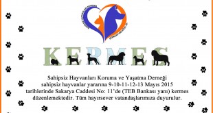 Sahipsiz Hayvanları Koruma Derneği'nin kermes duyuru afişi