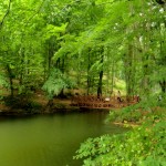 DSC06412