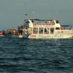 DSC07184