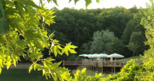 Yeşil yapraklar arasından görünen göl kenarındaki restoran