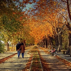Sonbahar renklerine bürünmüş ağaçlı bir park yolunda yürüyen çift.