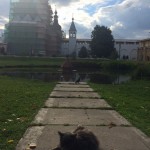 Rostov, rusya