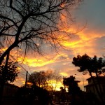 DSC01392