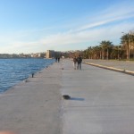 2016-01-20 15.47.52-1