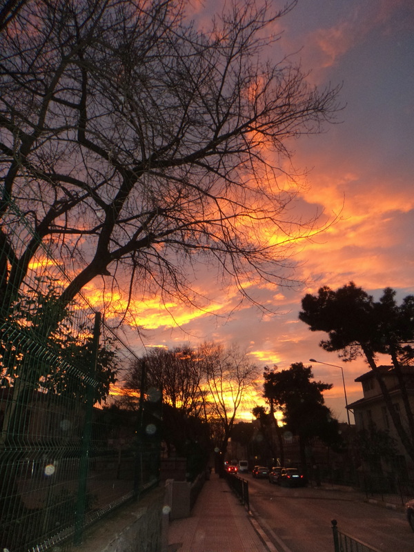 Sinop'ta ağaç siluetleri arasında turuncu gün batımı