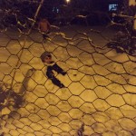 DSC00724