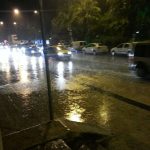 Nilgünün Renkleri Resim Sergisi