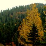 dsc00389
