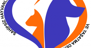 Sahipsiz Hayvanları Koruma ve Yaşatma Derneği'nin kalp şeklindeki logosu