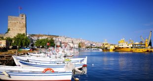 Sinop limanında kale, tekneler ve gemilerin manzarası