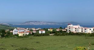 Boztepe'den görünen Sinop şehri ve yeşil alan manzarası.